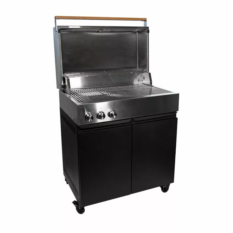 Bluegaz Z Gasolgrill - Bild 3